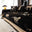 Svart savann